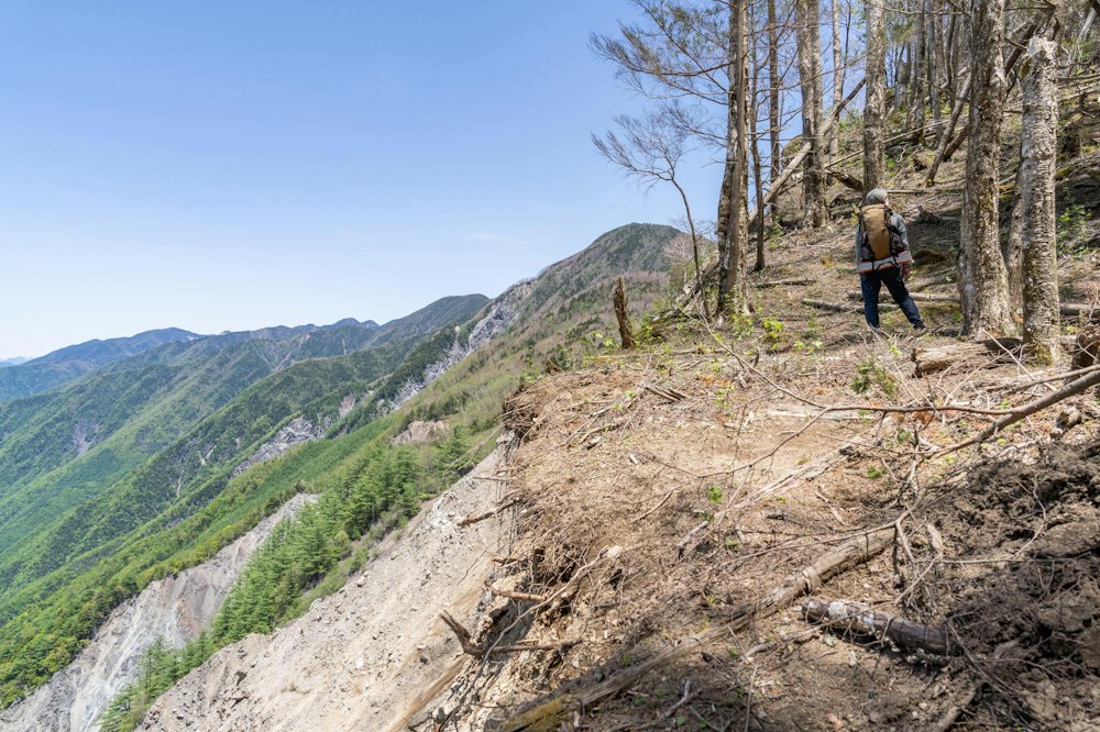<p>崩壊地の真横に登山道が付けられていて恐ろしい。<br>きっといつかここも崩れてなくなってしまうんだろう。<br>それが今日でないことを祈りながら歩いた。</p>