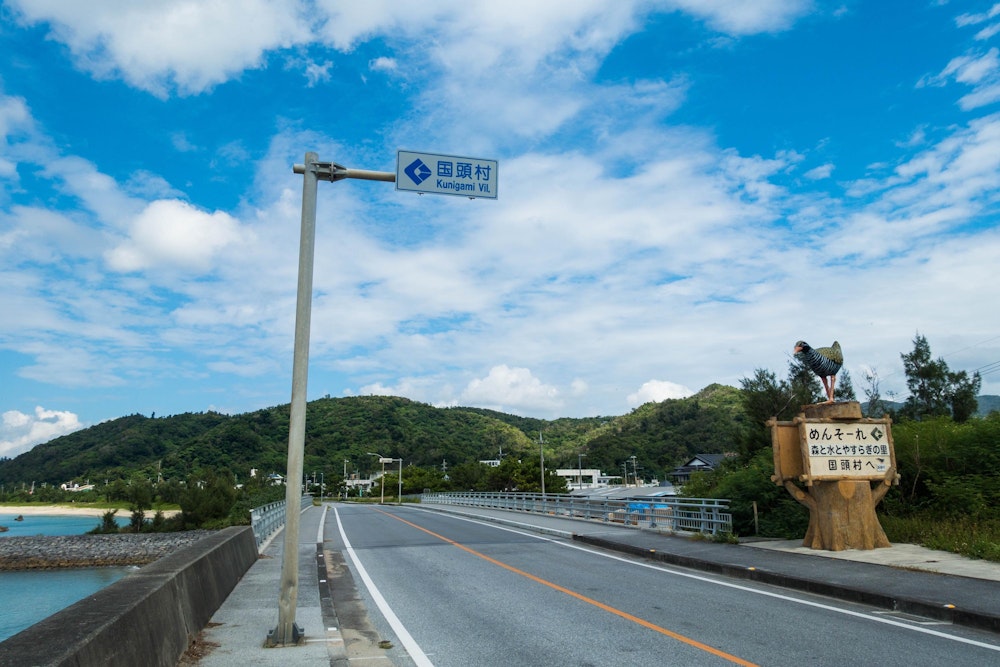 <p>国道沿いに歩いてきたことでそれまで都市的な風景が続いていたが、本島北部、いわゆる "やんばる" の地域に差し掛かると、穏やかな雰囲気に変わってくる。</p>