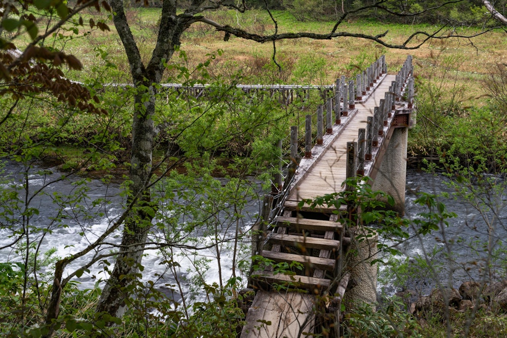 <p>復路は、東電小屋の方面を回ってみる。<br>途中で只見川を跨ぐが、これが圧巻の水量だった。今度余裕があれば、この先の下流にある三条の滝にも訪れてみたい。</p>