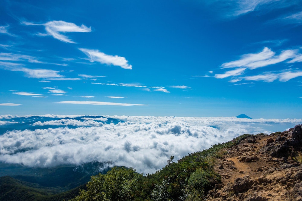 <p>素晴らしい雲海が広がり、そこ向こうには富士山が顔を出している。<br>雲海の高さが自分がいる場所の高さに近いので、本当に海を見ているような感じ。</p>