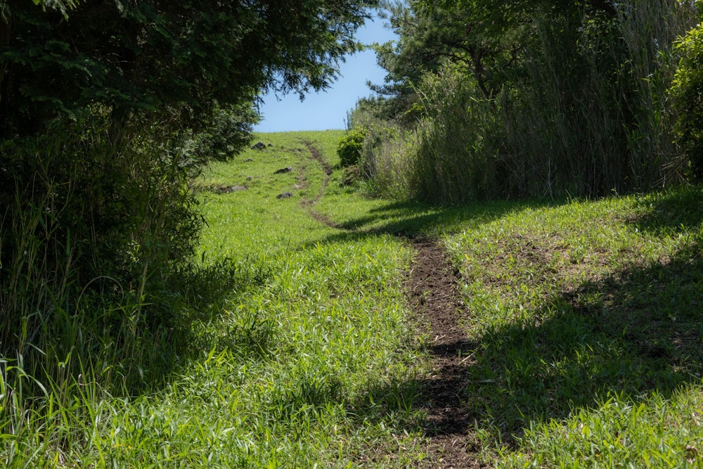 <p>この斜面を登ると、絶景が待っている。</p>