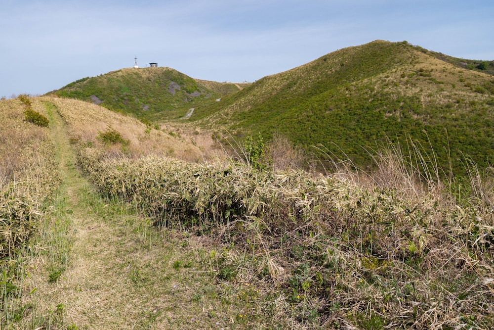 <p>笹藪を切り開いた開放的な道を進む。左のコブのようにみえるピークがさっきまでいた寒風山。<br>ぐるっと回って右のピークまで歩いて周回コースとする。</p>