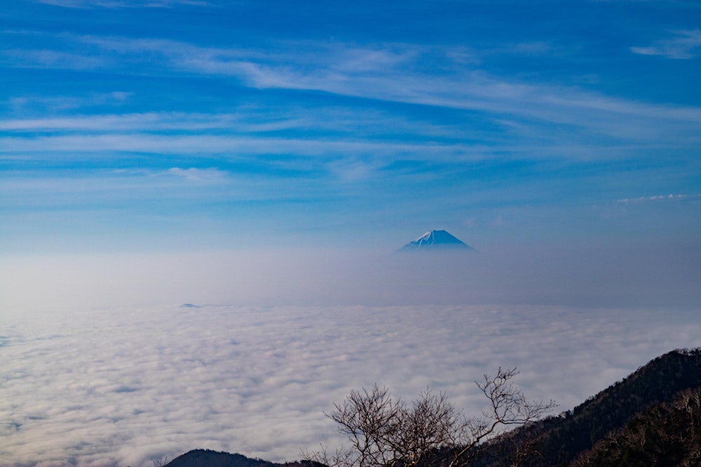 <p>キレット小屋でテント泊をした。翌朝はご覧の雲海。<br>ここまで水面（？）が穏やかな雲海は初めて見た。そして富士山が顔を出している。<br>大気が安定している証拠だ。今日はよく晴れるだろう。</p>