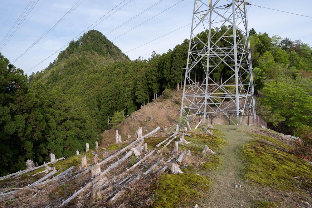 <p><span style="color:#000000">昨日すれ違った順峯の方から「危険だ」ということで聞いていた地蔵岳が見える。</span><br><span style="color:#000000">天に突き出るようなその山容から、気持ちが引き締まる。</span></p>