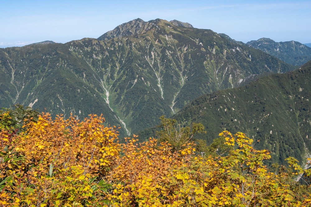 <p><span style="color:#000000">鮮やかに色付いた紅葉の木々と、毛勝山。</span><br><span style="color:#000000">早月尾根はとにかく毛勝山が大きく美しく見える。</span></p>