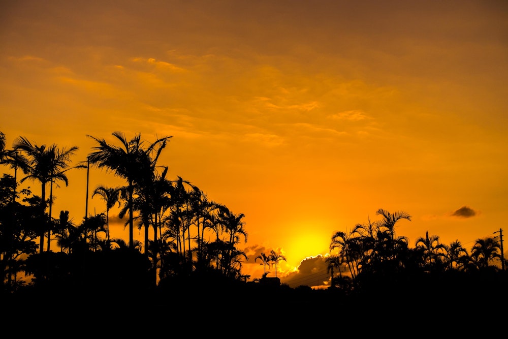 <p>南国らしい夕景。</p>