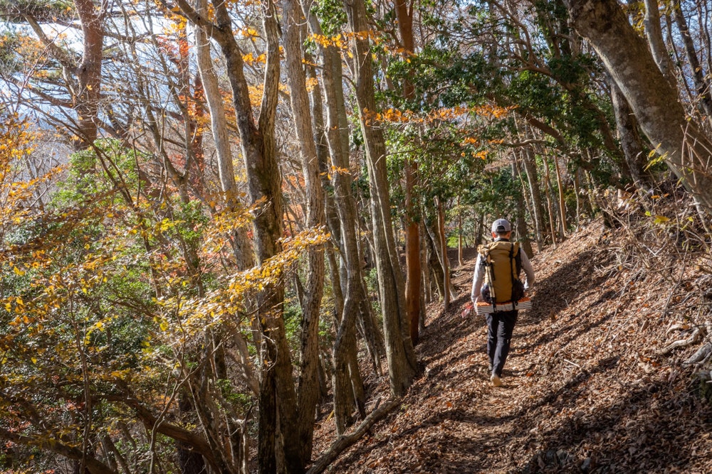 <p>1 日目は、あまり工夫して立ち回る余地はなく、どちらかというとストレート指向なマップだった。<br>それでも、明日のための体力は温存できた。素晴らしい景色に癒されたのは大きい。</p>