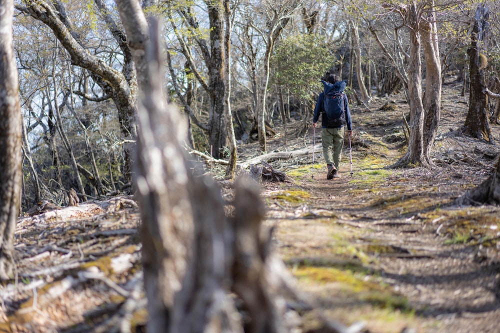 <p>扇山への緩やかな登り。<br>この緩やかな道は、遠くから見た扇山の姿から受ける印象そのものだった。<br>気持ちよく歩いていける。</p>