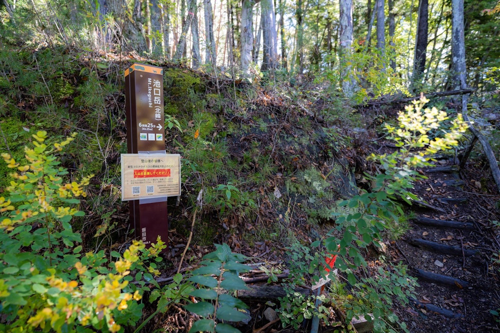 <p>池口岳登山口から入山。</p>