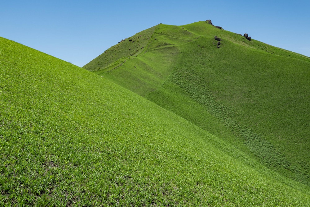 <p>高平山。このあたりは毎年野焼きが行われるため、山全体が草原地帯になっている。</p>