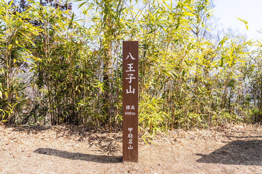 <p>八王子山。<br>このまま湯村山方面に足を伸ばすルートもあるが、今回はその逆側へ向かう。</p>