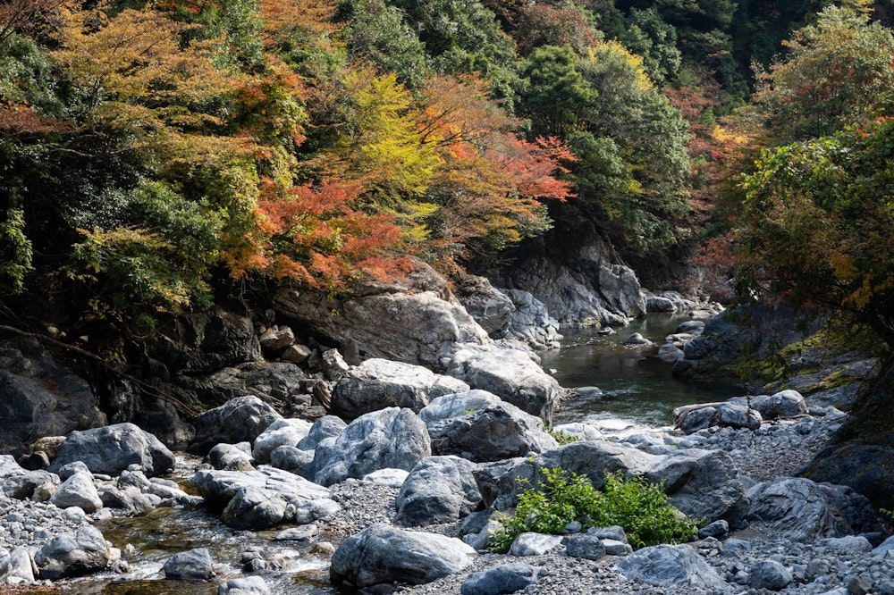 <p>気温は高いが、あたりを流れる耳川の透き通った水と、源流部らしいごろごろとした岩、そして赤く染まる紅葉と、美しい風景を最後まで楽しみながら、車を置いた雷坂登山口に戻った。</p>