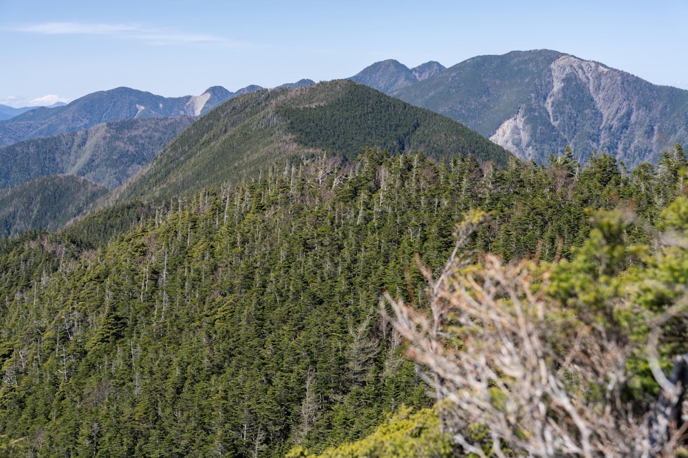 <p>青薙山付近から白峰南嶺の北側に続く尾根を望む。<br>右奥に見える丸く大きな山が布引山で、その左奥の双耳峰が今回の目的地である笊ヶ岳。<br>左奥は生木割山で、今回の山行で通るラストピークとなる予定。</p>