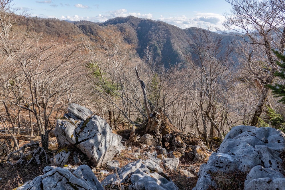 <p>天主山から東に延びる尾根上からの高岳。</p>