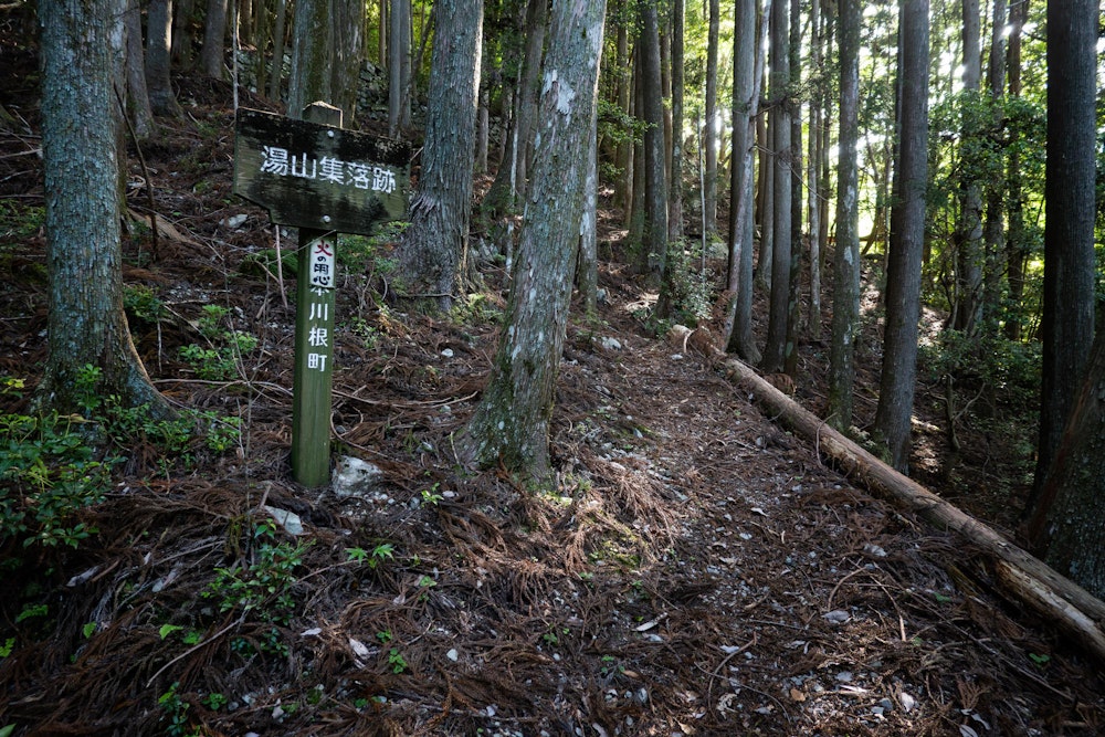 <p>驚いたのはこれ、湯山集落跡。<br>たしかに石垣がいたるところに残っていたが、まだまだ寸又峡の登山口までは数百メートルの標高差がある。<br>こんなところに一軒どころか集落があったなんて、にわかに信じられない。<br>昔の人が自然と共存する力はすさまじい。</p>