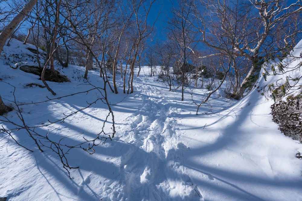 <p>七丈小屋の先は、しっかりとした雪に覆われていた。<br>入山者は多いようで、トレースははっきりとしている。</p>