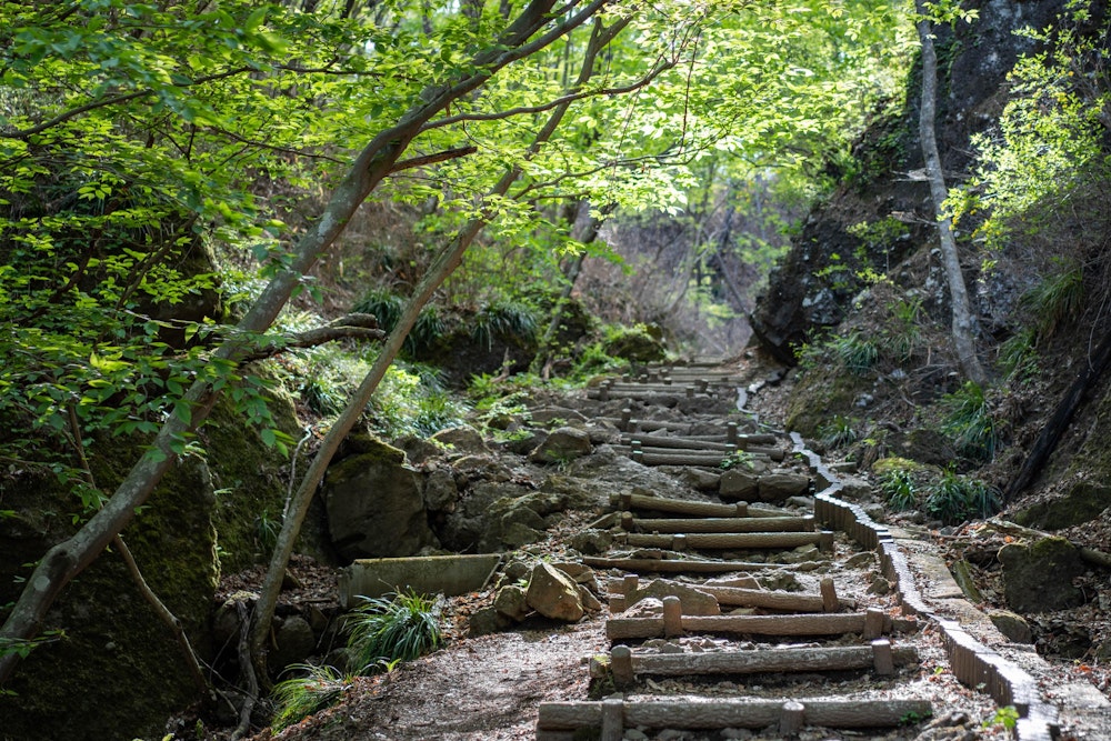 <p>下から見上げた霊山はどこを登るのかという山容をしていたが、登山道は裏側に付けられていて、よく整備されたゆるやかで歩きやすい道だった。<br>「ふくしまの遊歩道50選」にも選ばれているほどだ。</p>