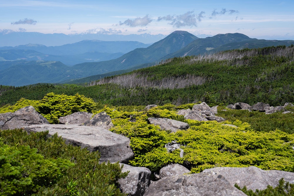 <p>中山展望台は北側の景色がよく見える。<br>縞枯山の山肌の森は文字通り縞模様に枯れた部分があるのがよくわかる。<br>その北には北横岳や、八ヶ岳最北の蓼科山も見える。<br>遥か遠くに見える最奥の山並みは北アルプスで、まだ残雪の白が目立つ。</p>