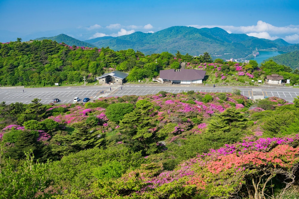 <p>仁田峠の巨大駐車場を見下ろす。予備知識なしで訪れたが、思いがけなくミヤマキリシマが美しく、得した気分。</p>