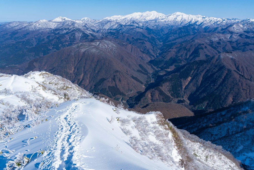 <p>下山時は、白山を正面に捉えながら来た道を戻る。</p>