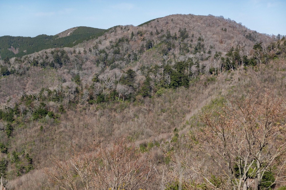 <p>京丈山の遠景。穏やかな山容だった。</p>