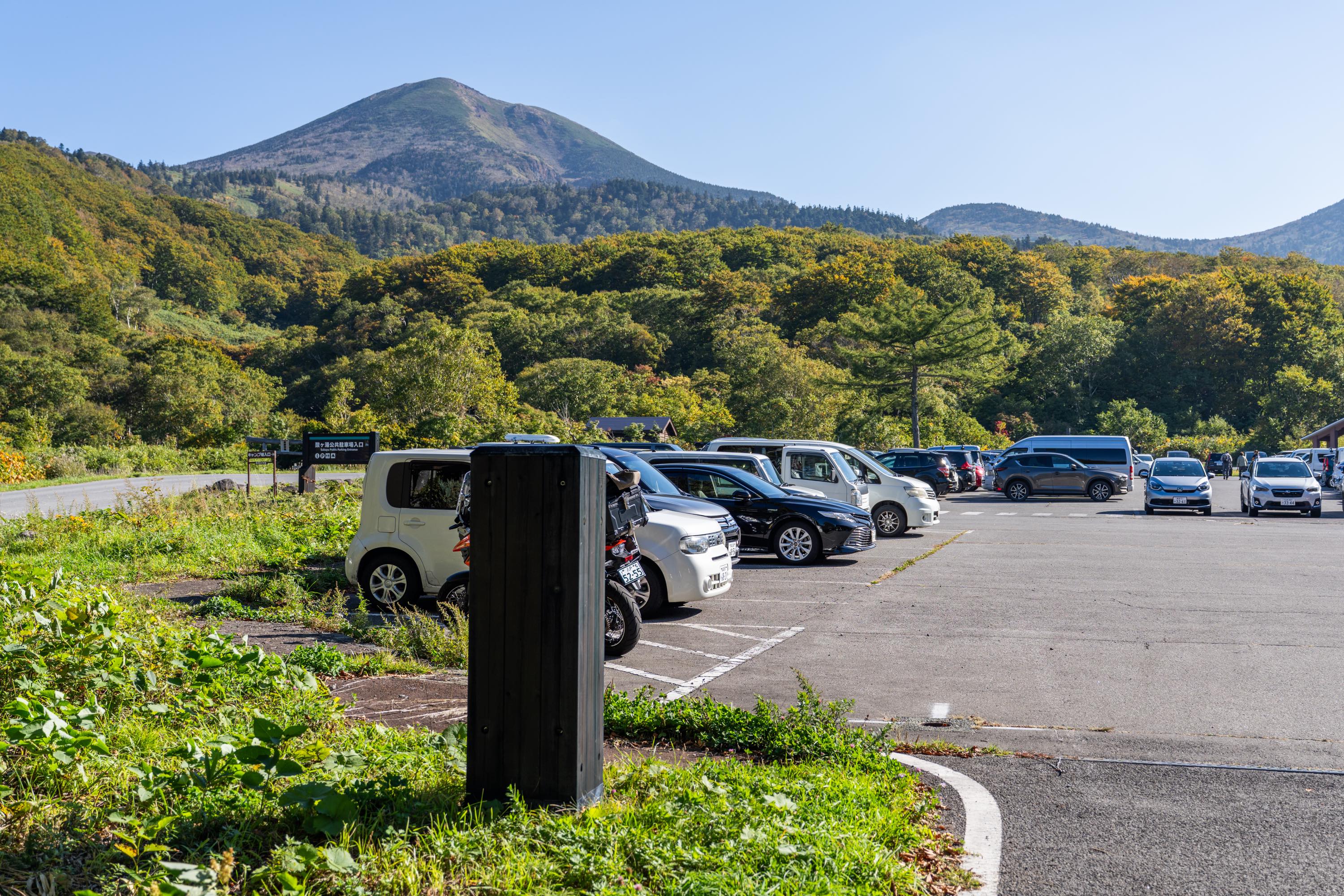 山田秋坪　花図　箱なし　MA910 八甲田山 | Yuma OSHIO