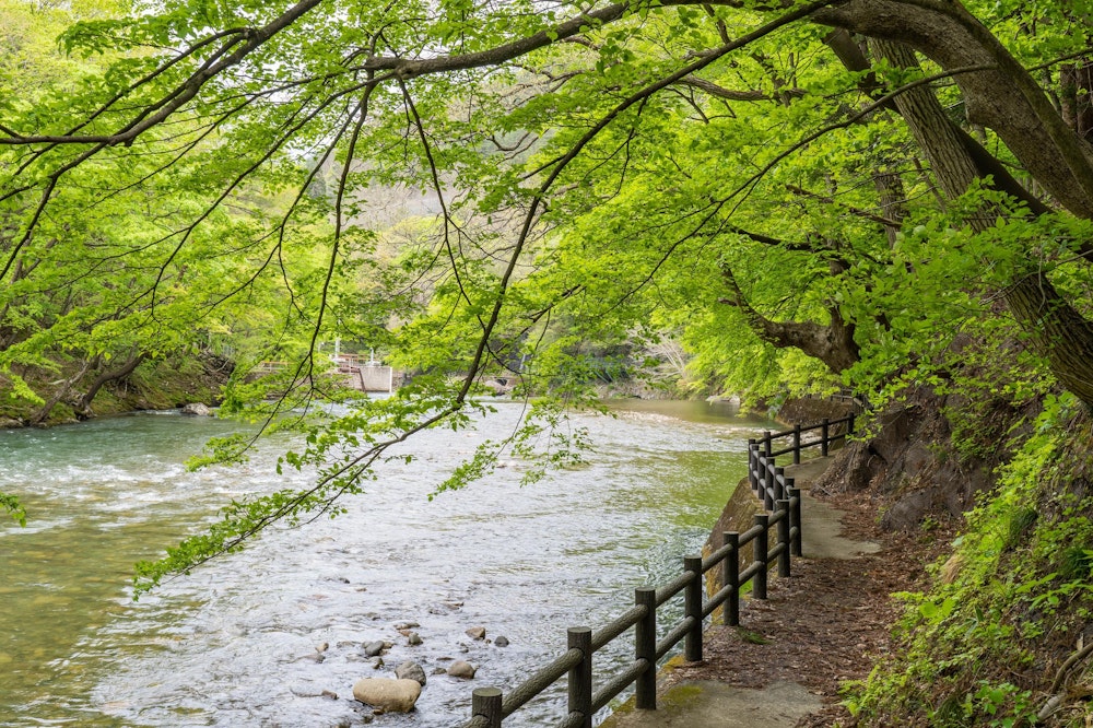 <p>遊歩道をしばらく進むと、米代川沿いの道に出る。こちらも手すりまでついて非常によく整備されている。<br>ところどころ川に降りられるようにもなっていた。</p>