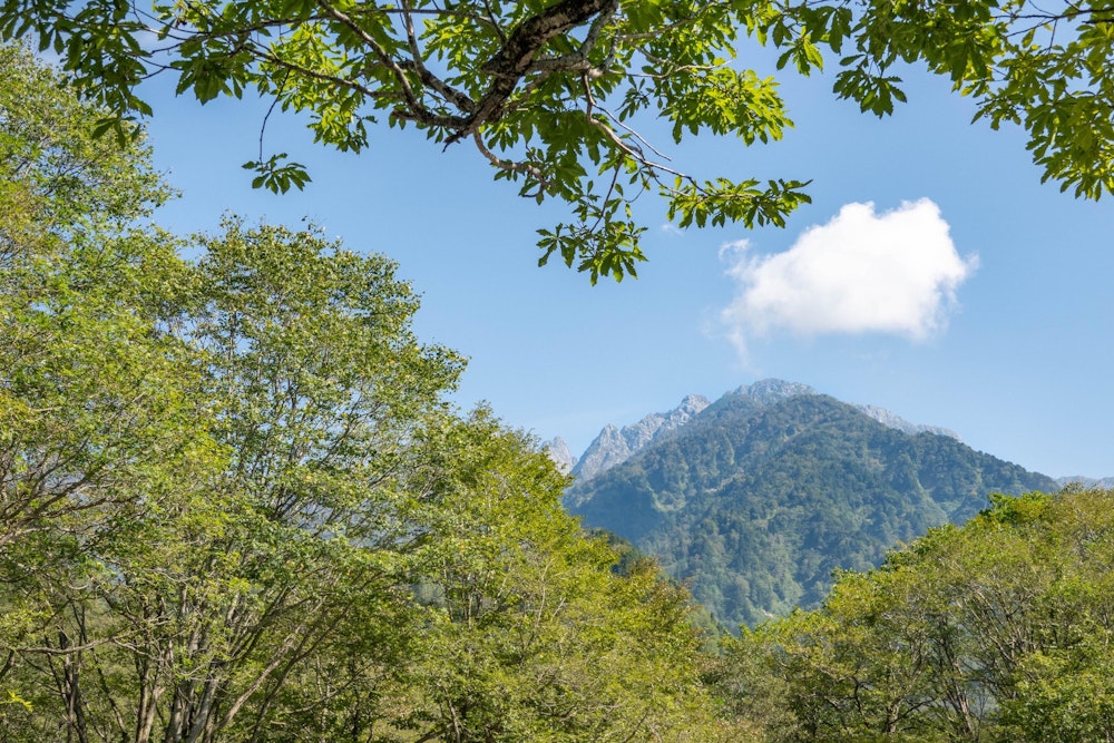 <p><span style="color:#000000">朝は暗くて分からなかったが、馬場島から剱岳の頂上まで見渡せる。</span><br><span style="color:#000000">標高差2000m以上の長い早月尾根が頂上に向かって真っ直ぐに伸びていることがわかる。</span><br><span style="color:#000000">普段そこまで意識していなかったとはいえ、密かに憧れの対象だった剱岳にこうして登頂できた喜びは思っていた以上に大きかったようで、強い達成感を抱いて帰路に就いた。</span></p>