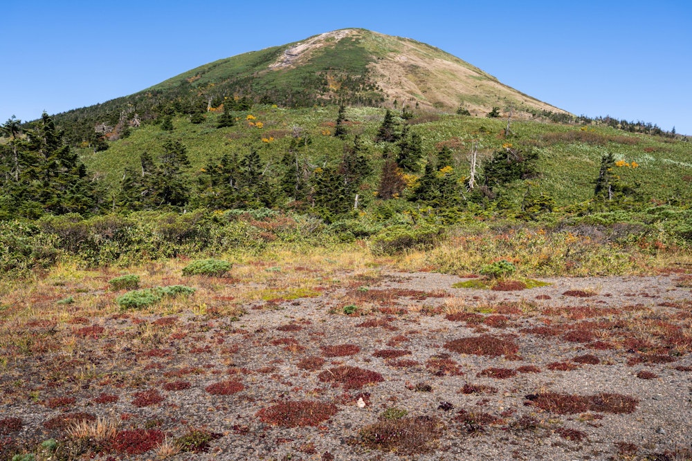 <p>仙人岱から見上げる八甲田大岳。</p>