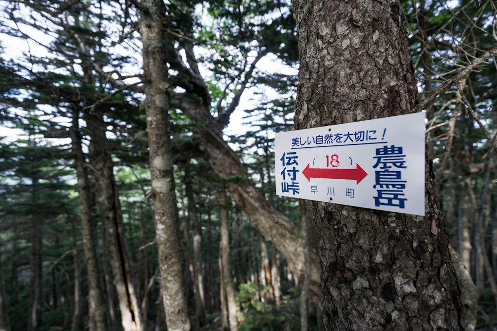 <p>いつか伝付峠までつなぎたい。</p>