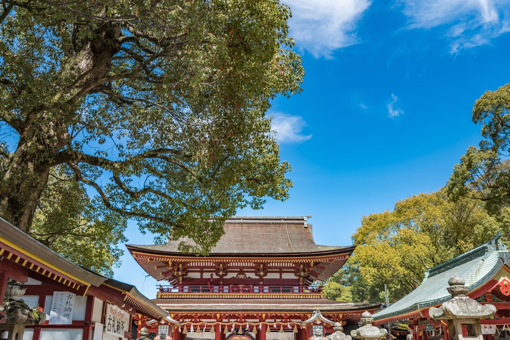 <p>福岡に上陸して九州を一周してふたたぶ福岡に戻ってきた。<br>最後は太宰府天満宮を参拝して旅の締めくくりとした。</p>