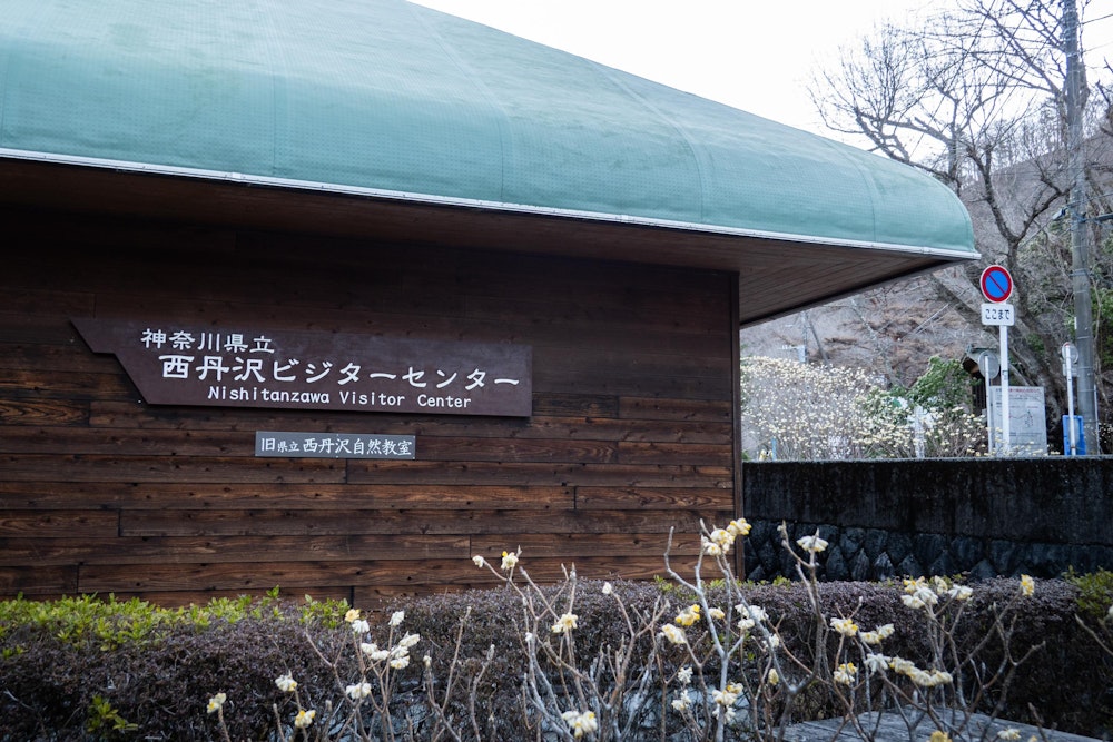 <p>西丹沢ビジターセンターを起点に、周辺の尾根を周回する。<br>トイレや水場があり、拠点として利用しやすい。周囲ではミツマタが花を咲かせ始めていた。</p>