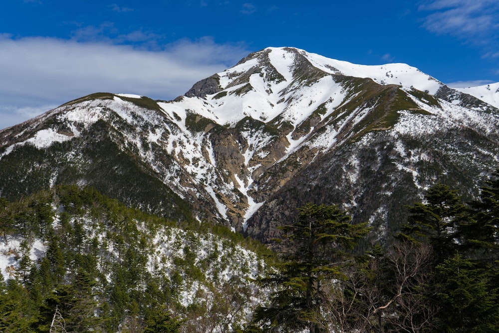 <p>上河内岳を越えて、聖岳が正面に大きく見えてきた。</p>