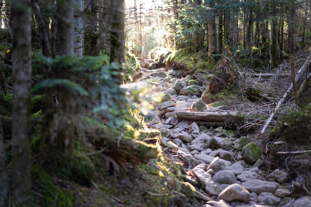 <p>登山道は迷うことはない。帰りはナイトハイクになること必至なので、道が分かり易いのは重要だ。</p>