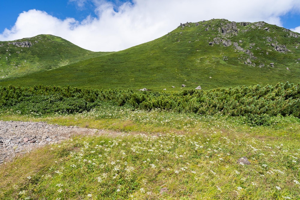 <p>羅臼平から、反対側の山々を仰ぐ。<br>こちらにも縦走可能となっており、またいつか訪れることがあれば歩いてみたい。</p>