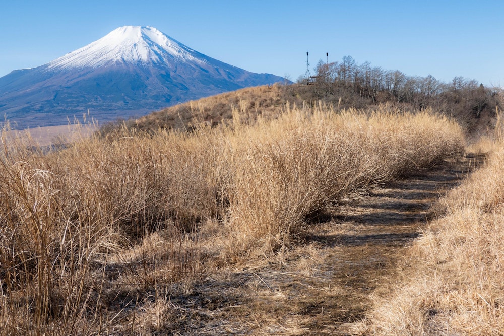 <p>尾根に出ると、なだらかで歩きやすい道が続く。<br>振り返ればいつも富士山が見える。</p>