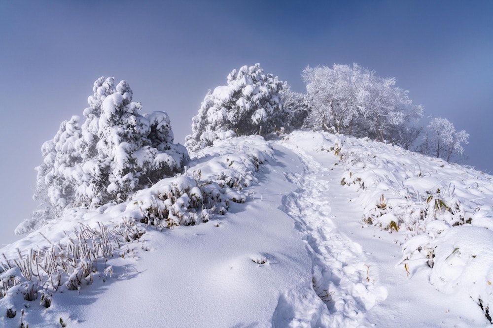 <p>横川山の頂上に着く頃には、ガスが山頂部を覆いはじめるくらいに上がってきた。<br>富士見台方面へとトレースが伸びるが、今日はここまでにしておく。</p>