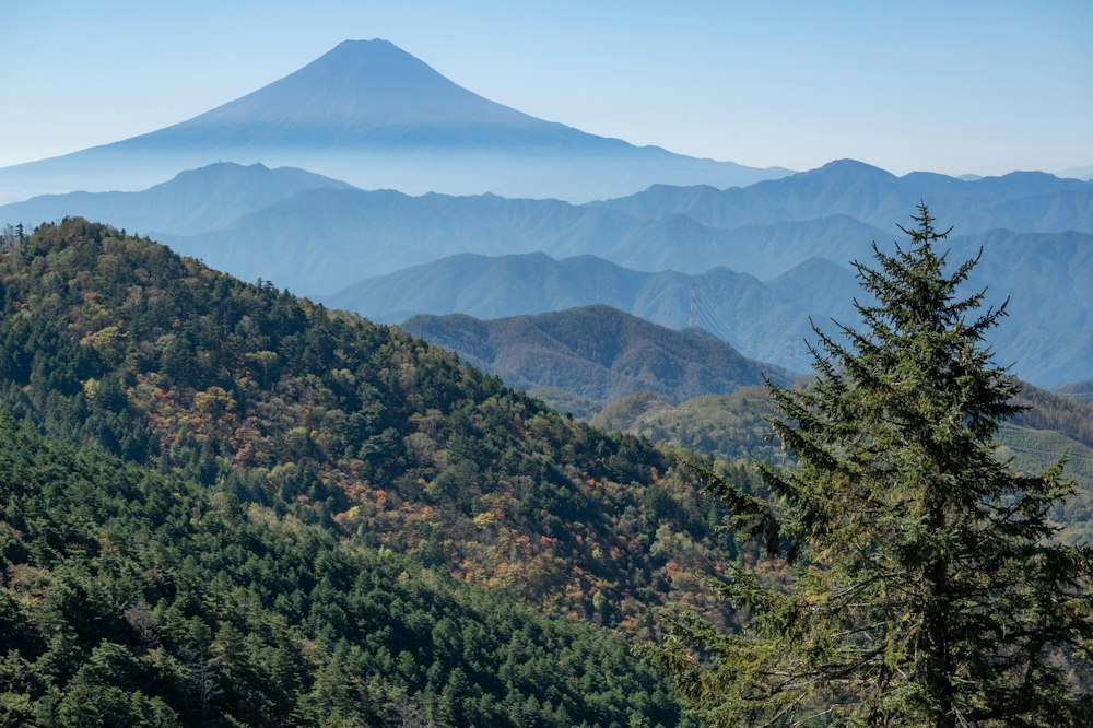 <p>秀麗富嶽十二景のひとつとだけあって、本当に富士山が美しく見える。<br>富士山に雪がある季節にまた訪れたくなった。</p>
