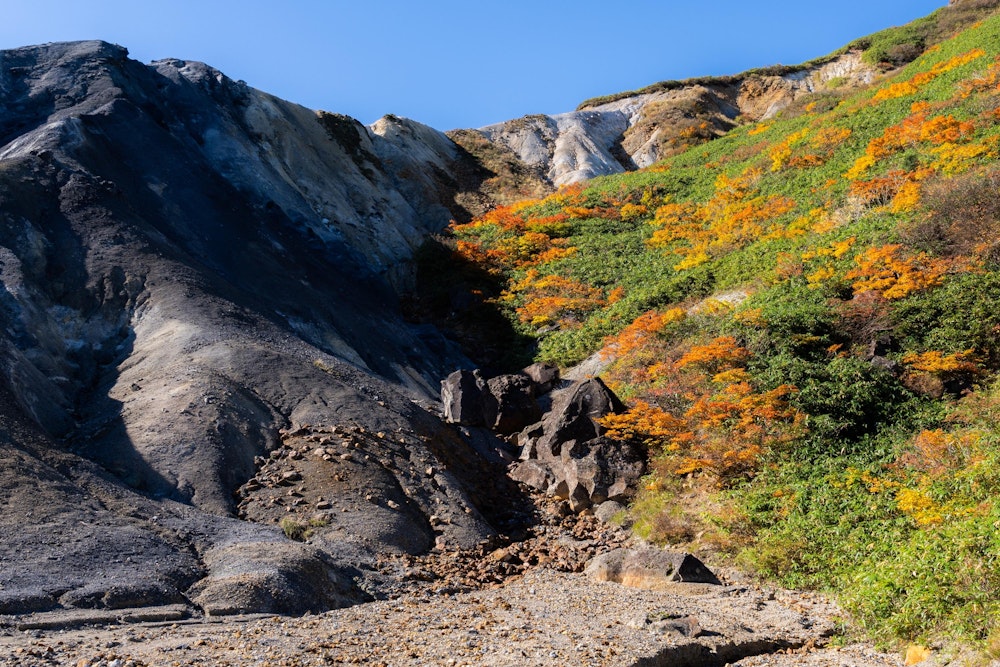 <p>火山の岩肌と紅葉の共演。</p>