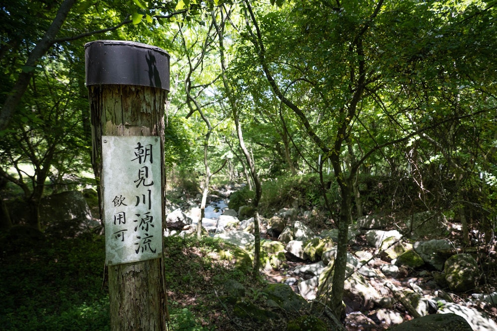 <p>朝見川の源流を辿る。飲用可とのことで、冷たく美味しい沢水で喉を潤す。<br>これからいよいよ夏が始まるのかという実感が深まった、爽やかな初夏の山歩きとなった。<br></p>