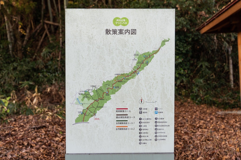 <p>立山連峰の眺めをたっぷりと楽しんがあとは、静かなトレイルを歩いて呉羽丘陵の西端へ。<br>そのまま下山して、夕刻の富山市郊外の田園地帯と住宅地を歩いて駐車場に戻った。この町歩きもまた楽しい。<br>都市の暮らしと共にあるような、こういう里山をもっと歩きたい。</p>