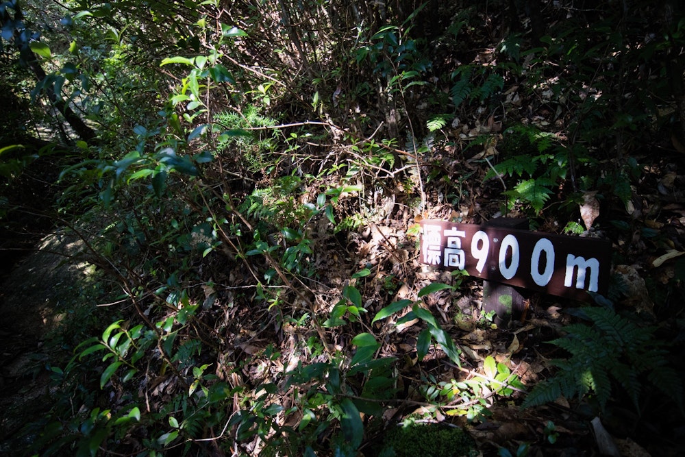 <p>モッチョム岳は標高こそ低いが、最初から最後まですべて急登となっていて、一気に登る。<br>標高 100m ごとに置かれた看板に励まされて登る。</p>