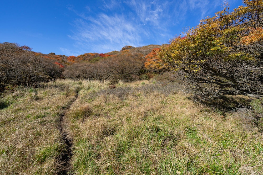 <p>山頂が近づいてきた雰囲気だ。</p>