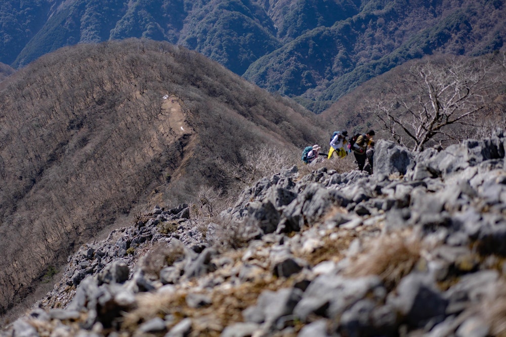 <p>孫太尾根の下り。<br>とんでもない角度の斜面に、あまりにもよく滑る土。<br>下から次々と登ってくる登山者をやり過ごしながら、慎重に下っていく。本日の核心部はここだった。</p>
