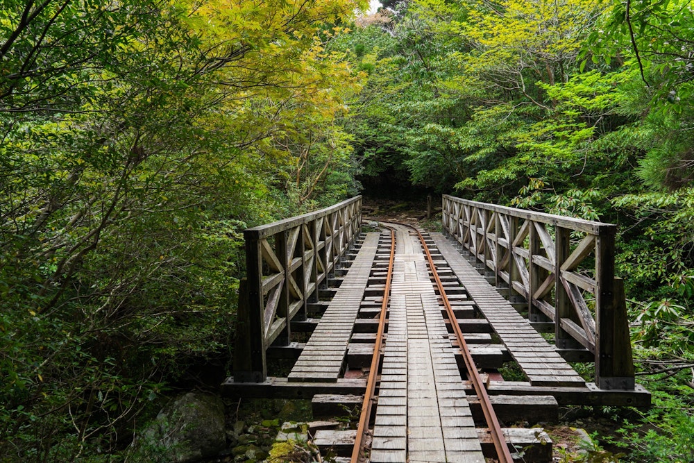 <p>途中、トロッコ道に合流する。</p>