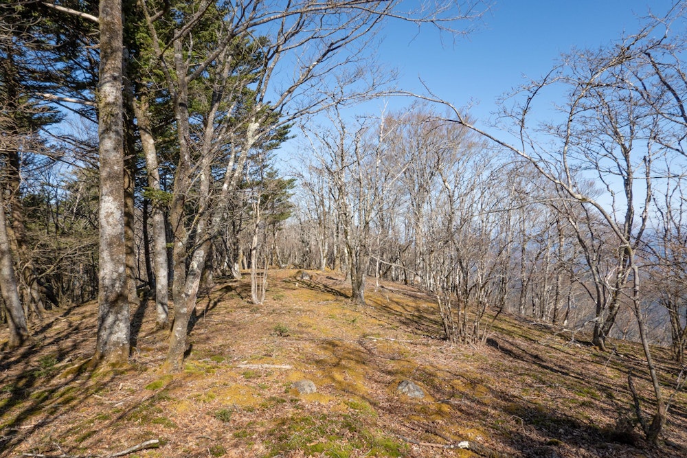 <p>求めていたもの、開放的な稜線歩き。</p>