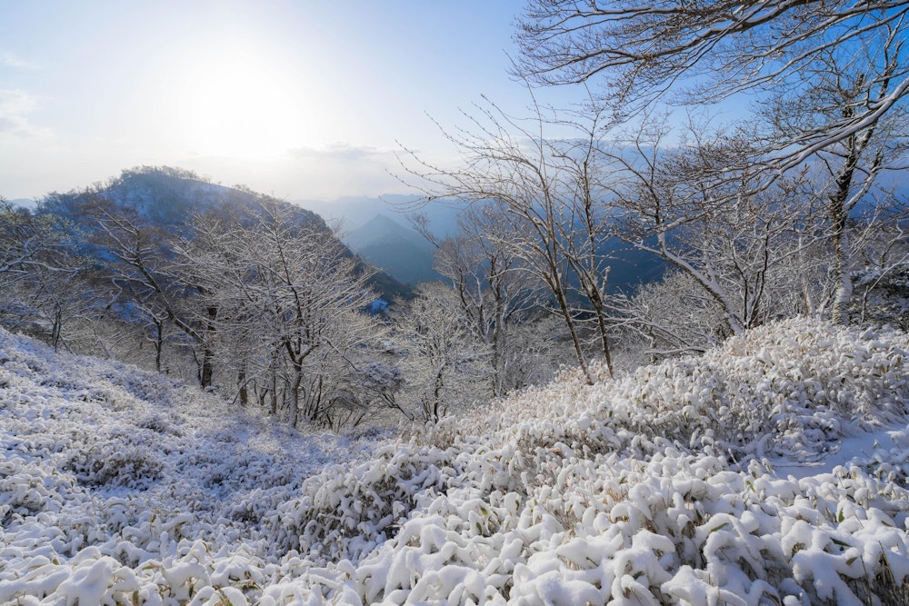 <p>前日の寒波で、山頂付近はしっかりと積雪していた。<br>しかしすぐに春の空気へと入れ替わり、ぽかぽかとした陽気だった。<br>この風景も、すぐに春の景色へと変わっていくだろう。</p>