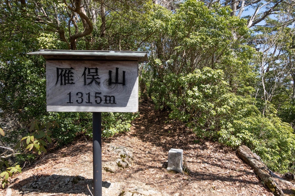 <p>危険箇所を超えて、狭い山頂に立つ。このまま南側の尾根に抜けたが、そちらは穏やかな道だった。</p>