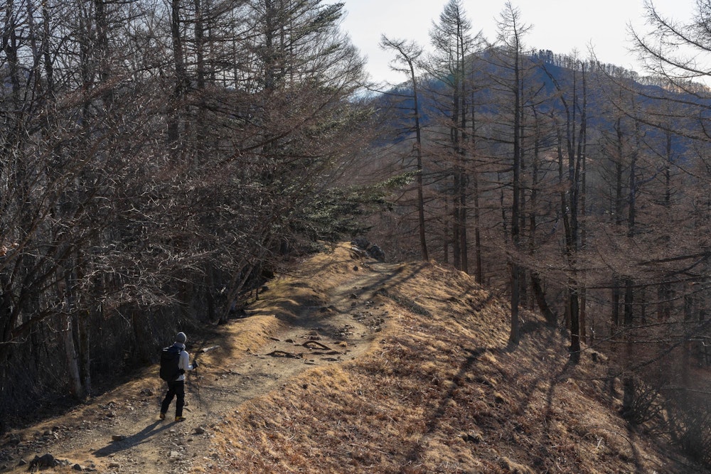 <p>冬枯れの明るい樹林帯を通って、鴨沢に下山した。<br>奥多摩の奥深く静かな雰囲気を久しぶりに味わえて、素晴らしい登り納めとなった。<br>今年も安全登山ができたことに感謝。来年もたくさん登りたい。</p>