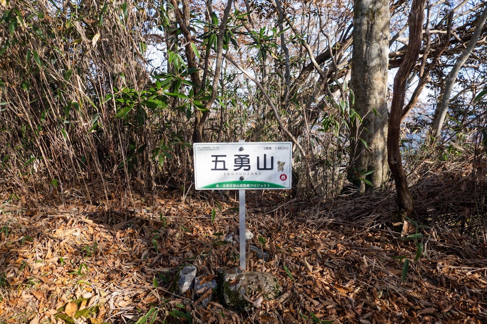 <p>通り道のような場所にある五勇山。<br>山頂標識がなければ、ここが山頂であることに気付かないほど。</p>